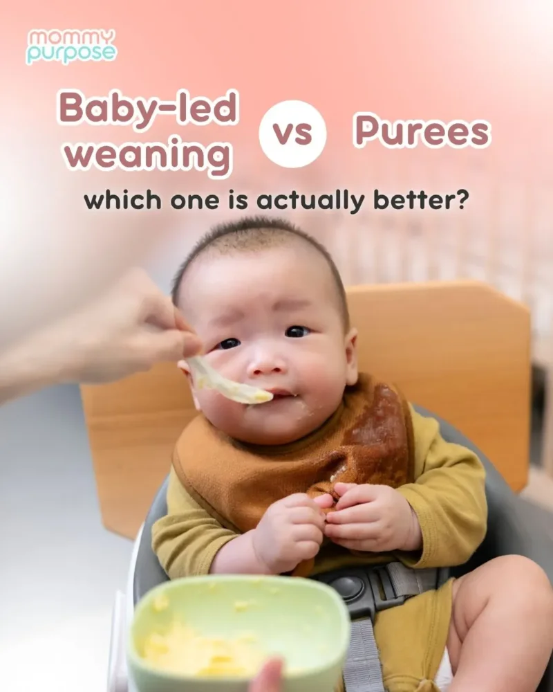 Baby-Led Weaning vs. Purees: Which Feeding Method Is Actually Better For Your Baby?